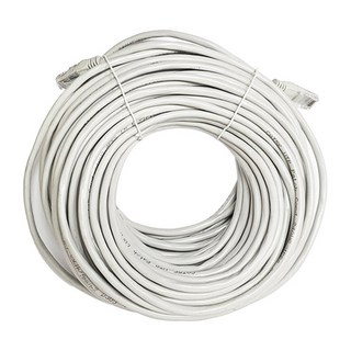 葉子小舖 CAT5高速網路線, RJ45接頭 灰白 30M, 1條