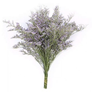 情人草 120g, 綠色 + 紫色