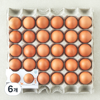 무항생제 신선 대란 1.56kg, 30구, 6개