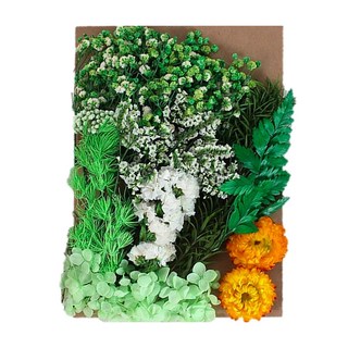 A-ONE 匯旺乾燥花 畢業裝飾 2入 1個, C11 普翠欲滴