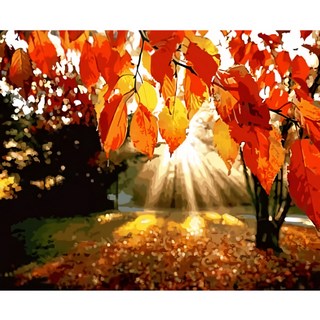 ARTLIFE 數字油畫DIY DT060 50 x 40cm, 仲夏晨曦 多色, 1個