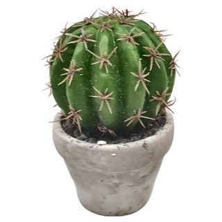 Meric Garden 中型仿真多肉療癒盆栽 圓錐花座球, 灰色, 1個