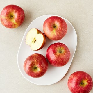 곰곰 5번 선별한 맛있는 사과, 1개, 1.5kg(중과, 5~7입)