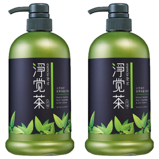 TEAPOWER 茶寶 淨覺茶 茶籽蔬果碗盤洗潔液，去油汙除異味，溫和滋潤不傷手，800ml, 2瓶