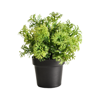 Meric Garden 創意北歐仿真療癒小綠植盆栽 桌面裝飾擺設, 香芹葉, 1個