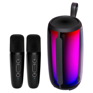 Ergotech 人因科技 行動K歌王 2.5吋超重低音震膜 66mm喇叭單體 26種模式七彩琉璃炫光氣氛燈, KS30, 黑