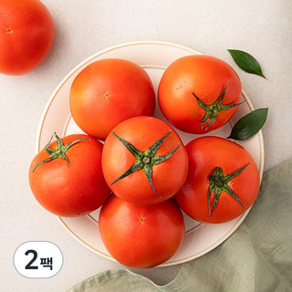 광식이농장 완숙 토마토, 1.5kg, 2팩