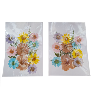 A-ONE 匯旺 真花壓花 2個, 多種規格天然植物壓花, 尺寸14.5 x 10.5 CM, 繁花似錦