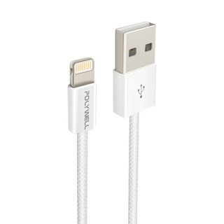 POLYWELL 寶利威爾 USB To Lightning PD編織快充線 3A PW15-W45-M905, 3m, 灰白色, 1條