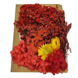 A-ONE 匯旺 乾燥花Set 2包, 紅豆相思 C05