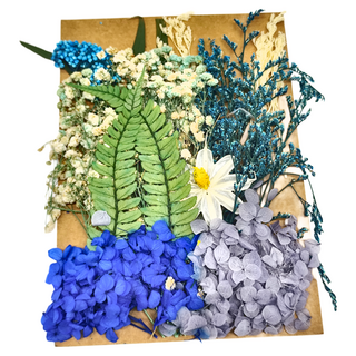 A-ONE 匯旺乾燥花 C13 藍色療癒 2入, 1組