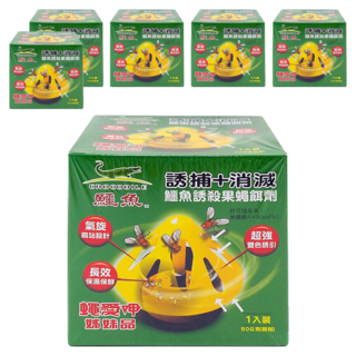 鱷魚 誘殺果蠅餌劑, 50g, 6盒