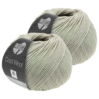 라나그로사 쿨 울 뜨개실, 2106 Graubeige, 2개
