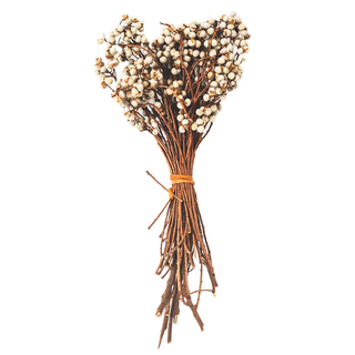 小白果 100g, 短桿, 白色