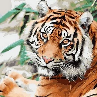 ArtLife 藝術生活 數字油畫DIY 50 x 40cm, 虎虎生風, 1組