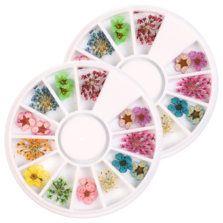 MEIBROWN 美甲裝飾乾燥花套裝, 混合顏色, 2盒