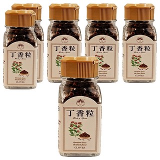 新光 丁香粒 25g 嚴選香料 適用於肉類醃製與甜點 為料理增添獨特風味, 6瓶