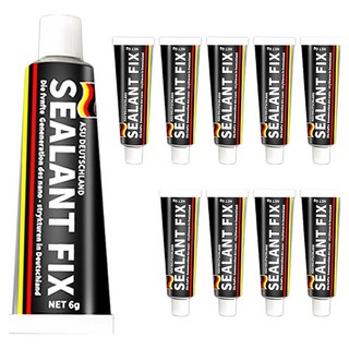 월드크린 실란트 픽스 6g, 10개