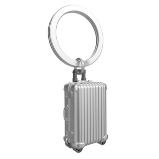 Metalmorphose 鑰匙圈, 1個, 銀色