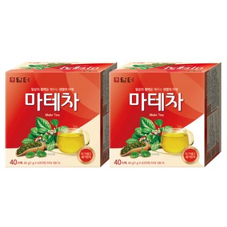 담터 마테차, 1g, 40개입, 2개