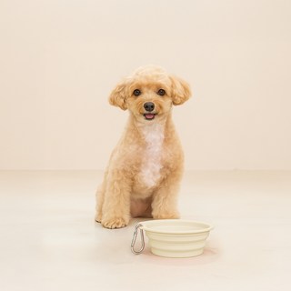 레토 반려동물 휴대용 접이식 실리콘 식기, 아이보리, 1개