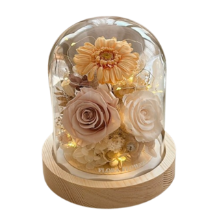 Flora Flower 永生花夜燈 12直徑-日落之雲 植物花材 玻璃盤 松木夜燈底座 多色, 日落之雲 多色