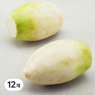 제주 세척 무, 1개입, 12개