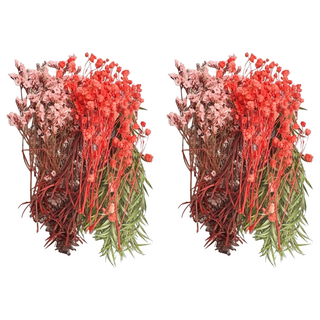 A-ONE 匯旺 天然乾燥花 Set, 多種規格, A07 繽紛色彩