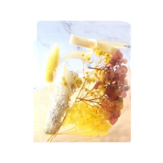 A-ONE 匯旺 浮游花DIY花材包 Set 3, 天然植物乾燥花 12 x 12 CM, 金輝暖陽 黃色