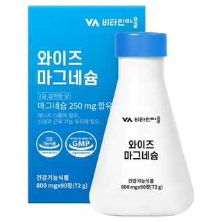 비타민마을 와이즈 마그네슘 72g, 90정, 1개