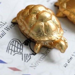 金龜裝飾品, 1個