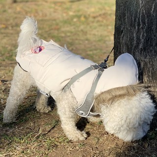 RESPET 狗狗雙口袋保暖鋪棉外套, 象牙白