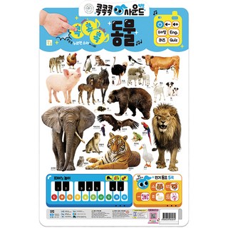 콕콕콕 사운드 벽보, 동물, 키움