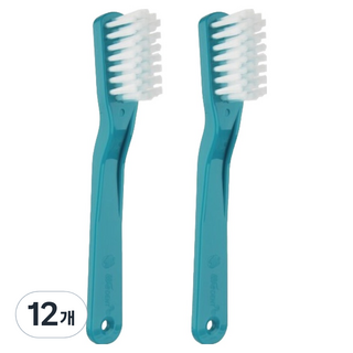 WEDENT 威登 假牙專用牙刷 綠色 WD729, 12個, 1入