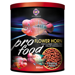 UP AQUA 雅柏 花羅漢飼料 E-632-950, 1罐, 950ml