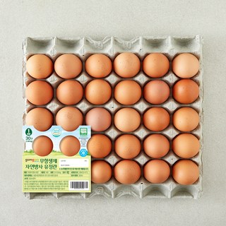 곰곰 무항생제 자연방사 유정란, 1개, 30구