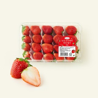 수플린 논산 조이베리 한단 딸기, 500g, 1개