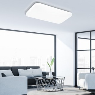 WONHA LED 波爾森空氣 客廳天花板燈 可調光 附遙控器 50W 無閃爍, 白色 + 晝光色