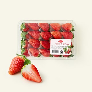 수플린 한단 홍희 딸기, 1개, 500g