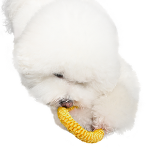 뽀시래기 강아지 오링 치실장난감, 옐로우, 1개