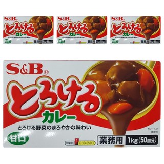 S&B 愛思必 特樂口野菜咖哩塊 甜味, 1kg, 4盒