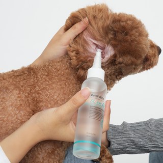 페토세라 자연유래 효소 반려동물 저자극 집중케어 귀세정제 클이어 EEF, 120ml, 1개