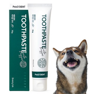 페토덴트 바이옴 반려동물 치석제거 바르는 치약, 70g, 1개