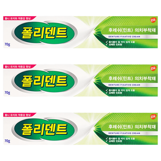 폴리덴트 후레쉬 민트 의치 부착재 70g, 1개입, 3개
