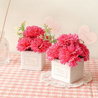 EPLYN 康乃馨香皂花可愛花盆 + 禮物盒 + 愛心卡 + 金色裝飾插牌, 亮粉色, 2個