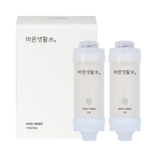 바른생활수 비타민 샤워필터, 2개, 무향
