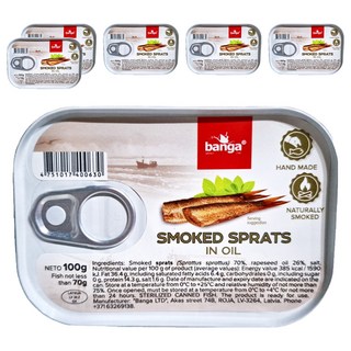 BANGA 油漬煙燻沙丁魚, 100g, 6罐