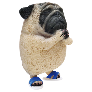 YENDAR 研達 足旅祈 巴哥犬, 1盒