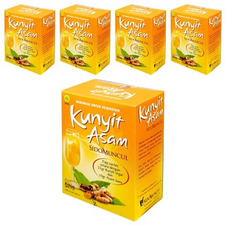 SIDOMUNCUL KUNYIT ASAM 黃薑酸茶包, 25g, 5入, 5盒
