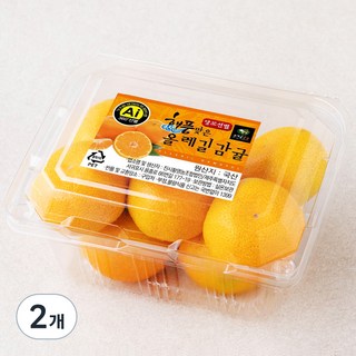 올레길 AI 당도선별 11brix 감귤, 500g, 2개